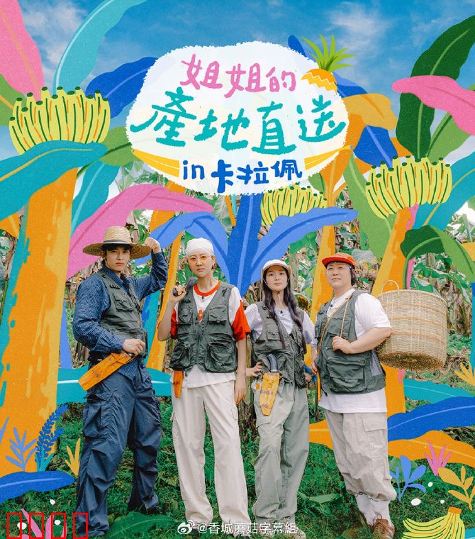姐姐家的产地直送3：新鲜爱情故事