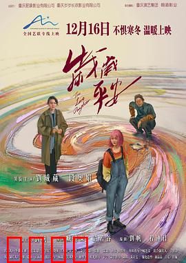 岁岁平安：回家路上