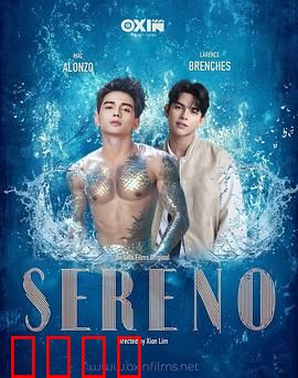 Sereno：迷雾小镇