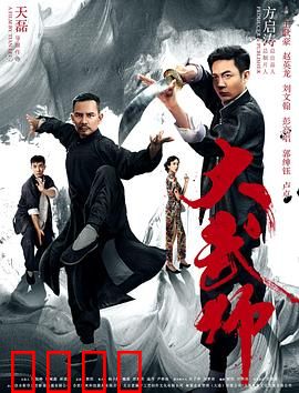 大武师：拳定乾坤