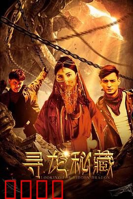 寻龙秘藏：盗墓奇遇