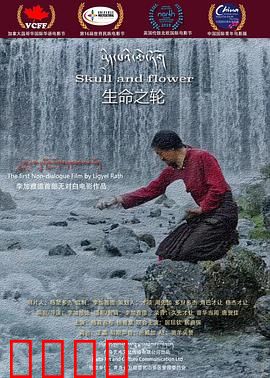 生命之轮：轮回之旅