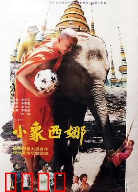小象西娜：逆境求生记