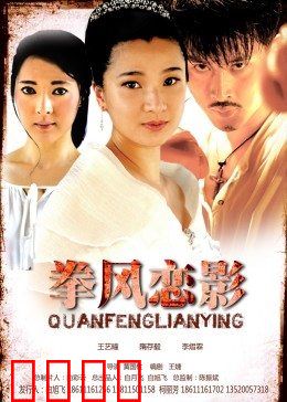 拳风恋影：拳王为爱再战