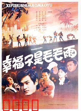 幸福不是毛毛雨：追梦人的酸甜苦辣