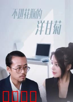 不进花瓶的洋甘菊：自由灵魂