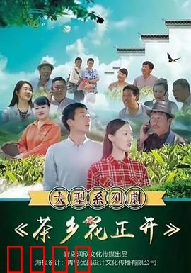 茶乡花正开：茶香情浓