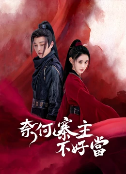 奈何寨主不好当：当家不易泪