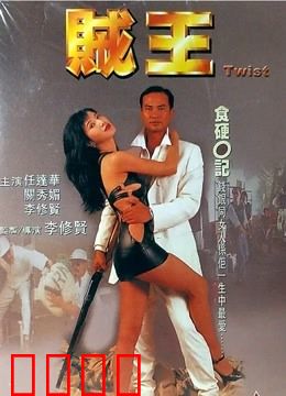 贼王 1995：盗亦有道终难逃