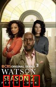 华生第二季：浴火重生