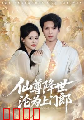 仙尊降世沦为上门郎：赘婿逆袭路