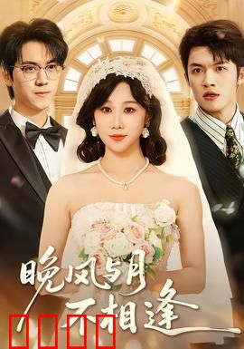 晚风与月不相逢：错失的时光