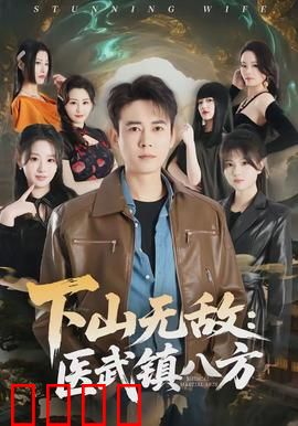 下山无敌：绝世高手归隐闹市