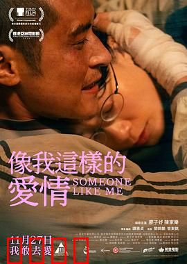 像我这样的爱情：寻找另一个我