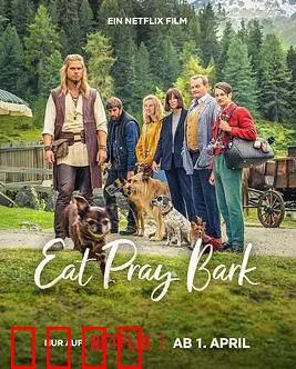 汪星人训练营：萌宠逆袭之路