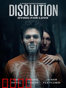 溶解：记忆迷局