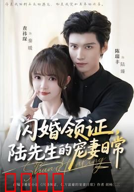 闪婚领证，陆先生的宠妻日常：霸总甜宠风暴