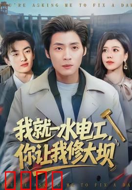 我就一水电工，你让我修大坝：水电工逆袭建奇功