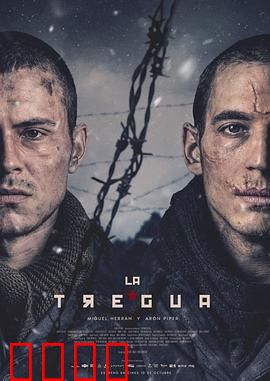 休战：停火背后的真相