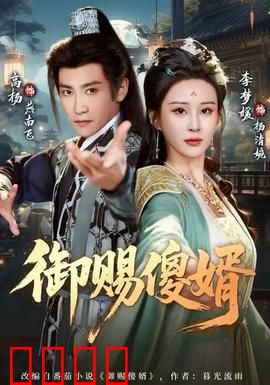 御赐傻婿：傻子驸马逆袭