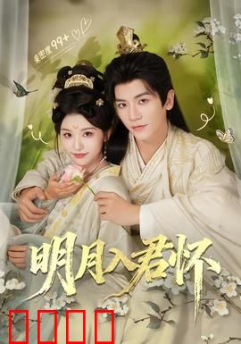 明月入君怀：情深缘浅