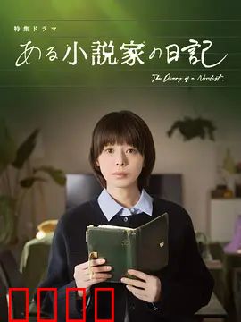 某小说家的日记：现实与虚构交织