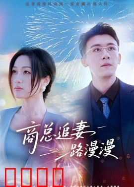 商总追妻路漫漫：霸总追妻火葬场