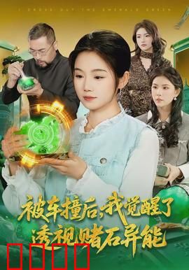 被车撞后，我觉醒了透视赌石异能了：逆袭赌王