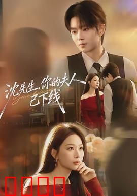 沈先生，你的夫人已下线：消失的妻子之谜