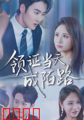 领证当天成陌路：新婚变冤家