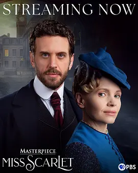 斯嘉丽小姐探案集第六季：暗夜疑云