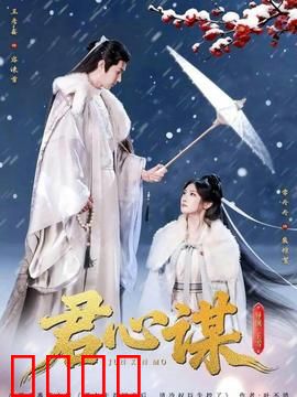 君心谋：权谋之巅的博弈