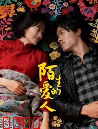 陌生的爱人：失忆后的真相