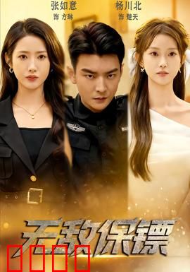 无敌保镖：生死营救