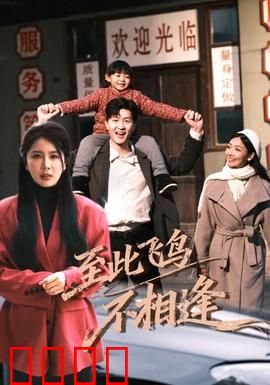 到此飞鸟不相逢：爱与遗憾的终章