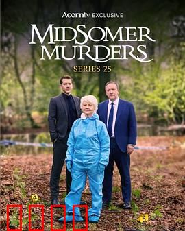 骇人命案事件簿第二十五季：谜案终章