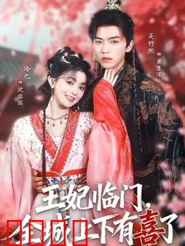 王妃临门全城上下有喜了：王妃逆袭记