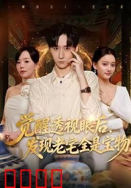 觉醒透视眼后，发觉老宅全是宝物：一眼识宝