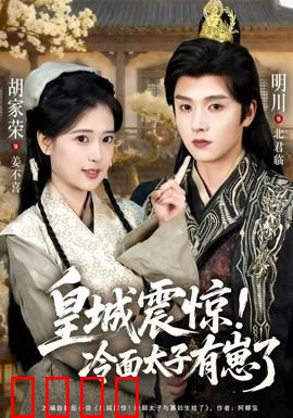 皇城震惊冷面太子有崽了：奶爸逆袭记