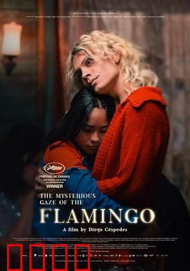 弗拉明戈的神秘眼神：舞动灵魂