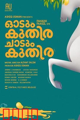 一匹马奔跑，一匹马跳跃：速度与激情