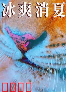 寒冰白血：冰冷抗争