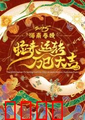 2025河南春晚：文化盛宴绽新彩