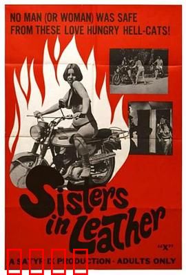 皮衣姐妹：铁血复仇路