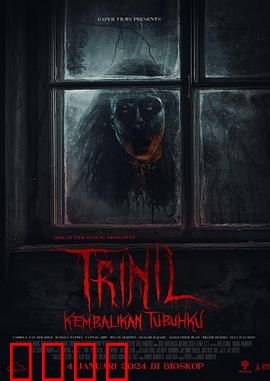 爪哇特里尼尔：神秘古国探秘