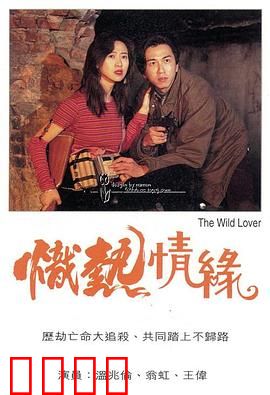 炽热情缘粤语：爱恨交织的港式浪漫