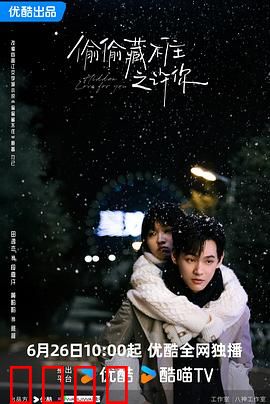 偷偷藏不住之许你：暗恋终成正果