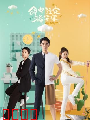 命中注定稀罕你：缘分奇迹