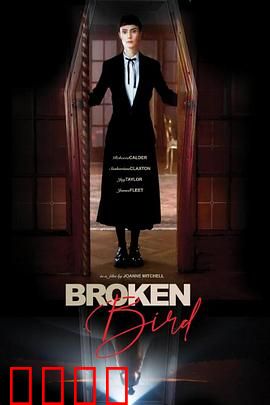 折翼鸟：逆风飞翔