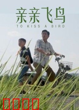 亲亲飞鸟：爱与自由